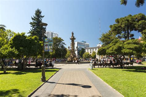 dr concepcion yen|Concepción, Chile .